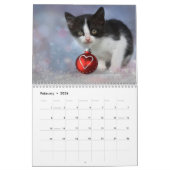 Kittens 2026 Calendar Kalender (Feb 2026)
