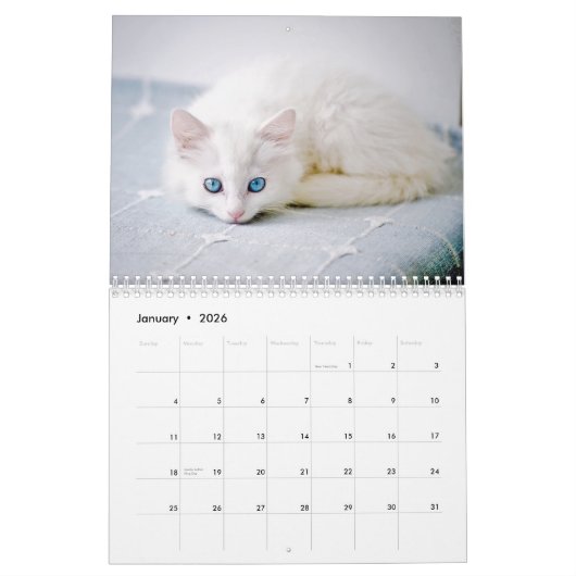 Kittens 2026 Calendar Kalender (Jan 2026)
