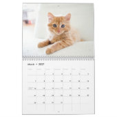 Kittens 2026 Calendar Kalender (Mär 2027)