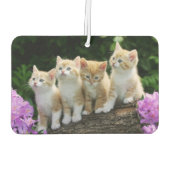 Kittens Air Freshener Autolufterfrischer (Rückseite)