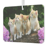 Kittens Air Freshener Autolufterfrischer (Links)