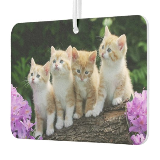 Kittens Air Freshener Autolufterfrischer (Links)