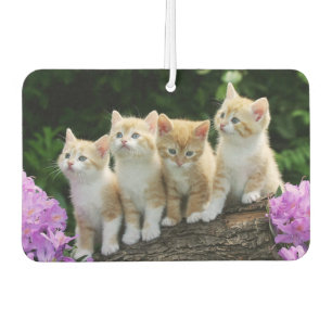 Kittens Air Freshener Autolufterfrischer
