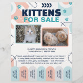 Kittens and Cats For Sale Tear Offs Flyer Template (Vorne)