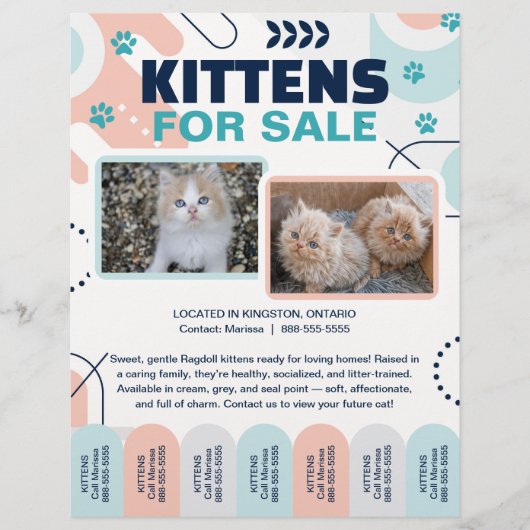 Kittens and Cats For Sale Tear Offs Flyer Template (Vorne)