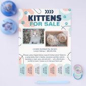 Kittens and Cats For Sale Tear Offs Flyer Template (Einzeln)