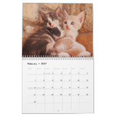 Kittens & Cats Kalender (Feb 2027)