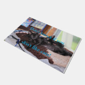 Kittens Doormat Fußmatte (Schrägansicht)