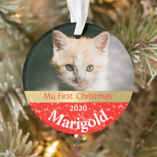 Kitten's First Christmas Foto Ornament
