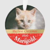 Kitten's First Christmas Foto Ornament (Vorderseite)