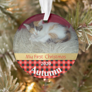 Kitten's First Christmas Foto Ornament