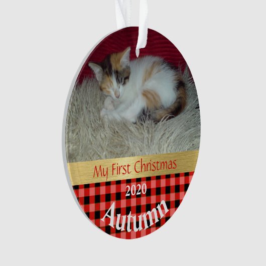 Kitten's First Christmas Foto Ornament (Vorderseite)