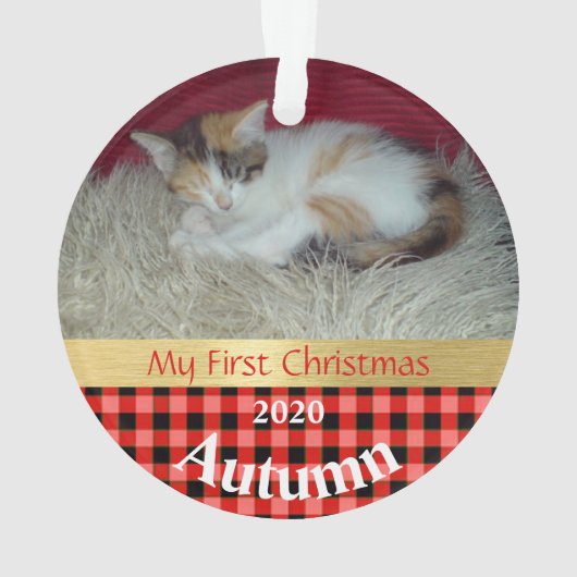 Kitten's First Christmas Foto Ornament (Rückseite)