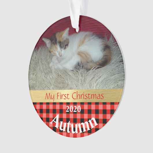 Kitten's First Christmas Foto Ornament (Vorderseite)