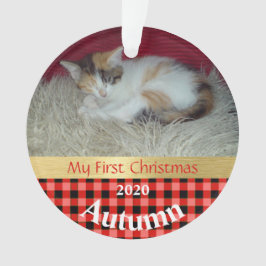 Kitten's First Christmas Foto Ornament