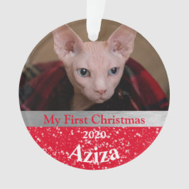Kitten's First Christmas Foto Ornament