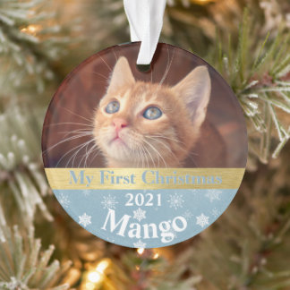 Kitten's First Christmas Foto Ornament