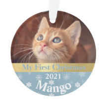 Kitten's First Christmas Foto Ornament