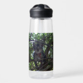 Kittens First Tree Tops Adventure, Trinkflasche (Vorne)