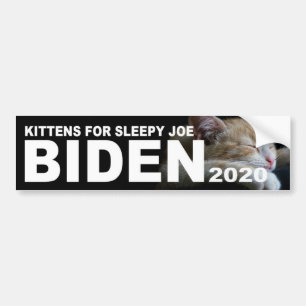 Kittens für Sleepy Joe Biden 2020 Autoaufkleber