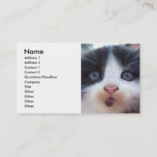 Kittens Gesicht Business Card Visitenkarte