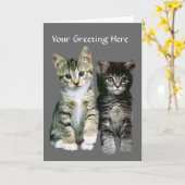 Kittens Grußkarte Karte (Gelbe Blume)