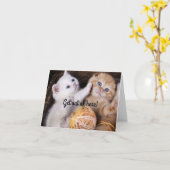 Kittens Happy Birthday Card Karte (Gelbe Blume)