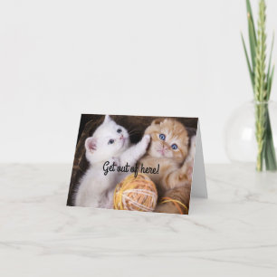 Kittens Happy Birthday Card Karte