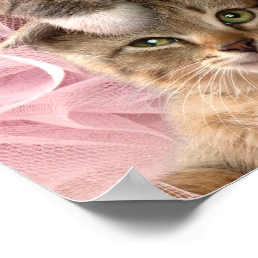 Kittens in Tutus Poster (Ecke)