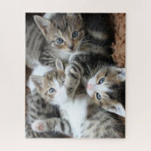 Kittens Jigsaw Puzzle (Vertikal)