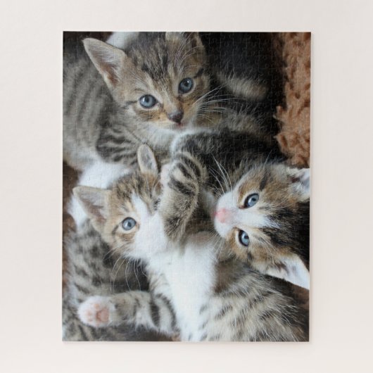 Kittens Jigsaw Puzzle (Vertikal)