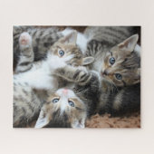 Kittens Jigsaw Puzzle (Horizontal)