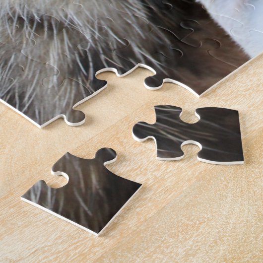 Kittens Jigsaw Puzzle (Seite)