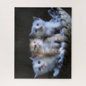 Kittens Jigsaw Puzzle (Vertikal)