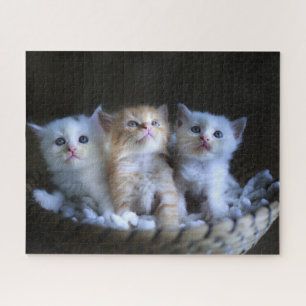 Kittens Jigsaw Puzzle