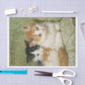 Kittens Painting Henriette Ronner-Knip (1821-1909) Seidenpapier (Handwerk)