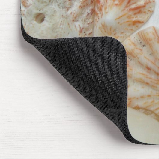 Kitten's Paw Seashells Mousepad (Ecke)