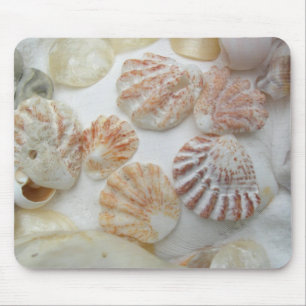 Kitten's Paw Seashells Mousepad
