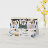 Kittens Pessach Grußkarte Karte (Gelbe Blume)