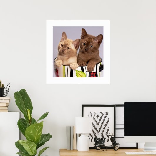 Kittens Poster (Heimbüro)