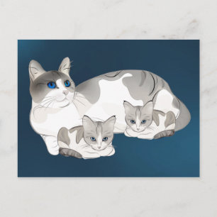 Kittens Postkarte