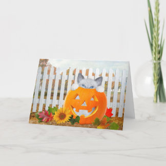 Kitten's Pumpkin Playtime Grußkarte Karte