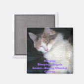 Kittens:Schlafen=EngelAwake=Moving Obstical Co... Magnet (Vorderseite/Rückseite)