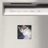 Kittens:Schlafen=EngelAwake=Moving Obstical Co... Magnet (In Situ (Geschirrspüler))
