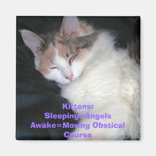 Kittens:Schlafen=EngelAwake=Moving Obstical Co... Magnet (Vorne)