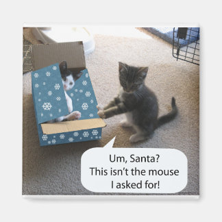 Kittens Weihnachtsmagazin Magnet