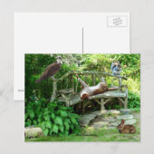 Kittens Wildlife Friends Postcard Postkarte (Vorne/Hinten)