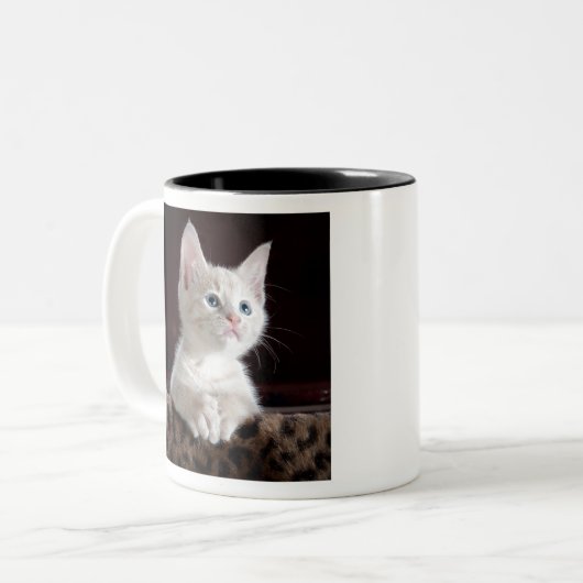 kittens zweifarbige tasse (Vorderseite Links)