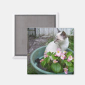 Kittie and Blume Pot Magnet (Vorderseite/Rückseite)