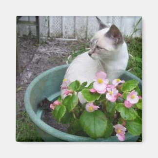 Kittie and Blume Pot Magnet